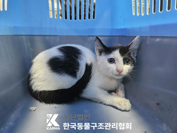 종료(자연사) 한국…